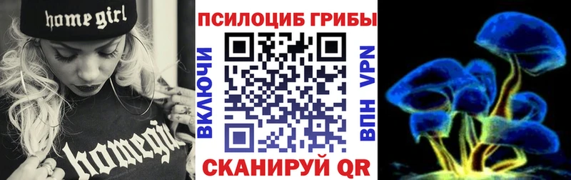 Псилоцибиновые грибы Cubensis  закладка  Калининград 